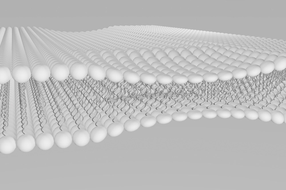 radiografia barniz nanotecnologico