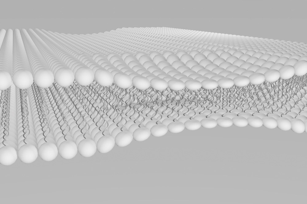 radiografia barniz nanotecnologico