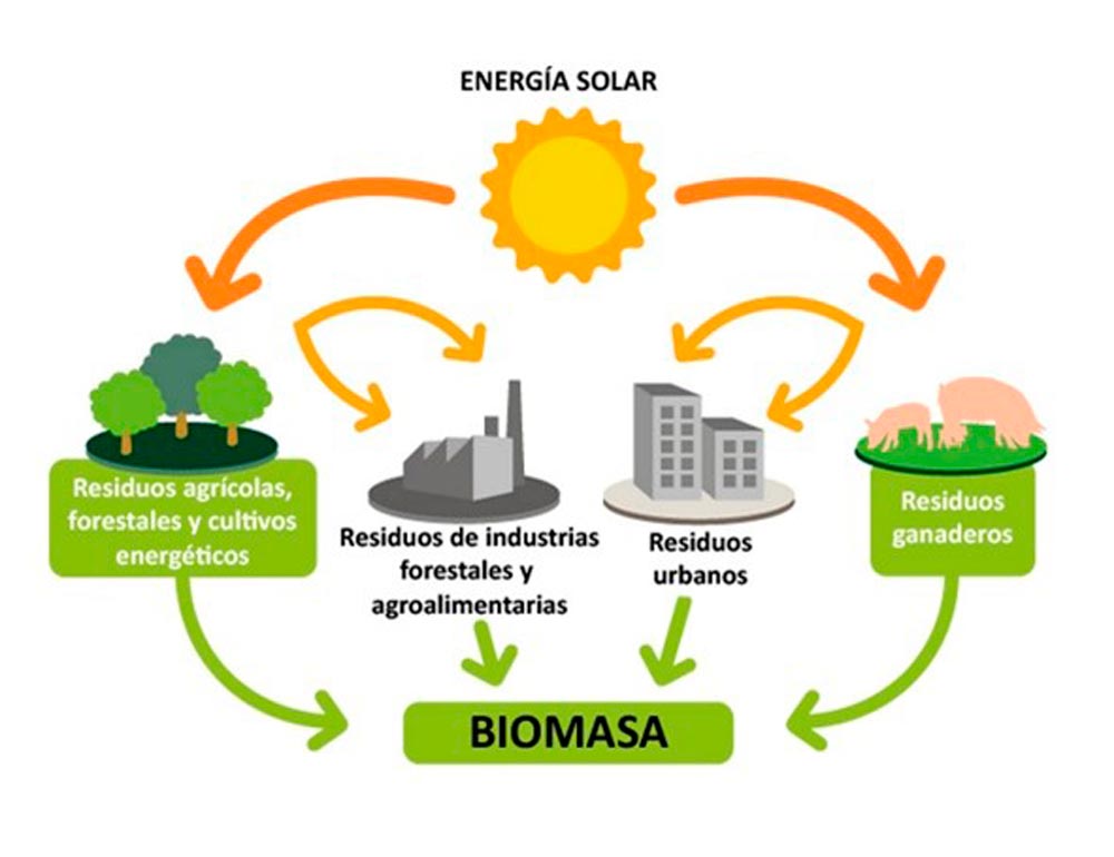 revestimientos bio ventajas infografia